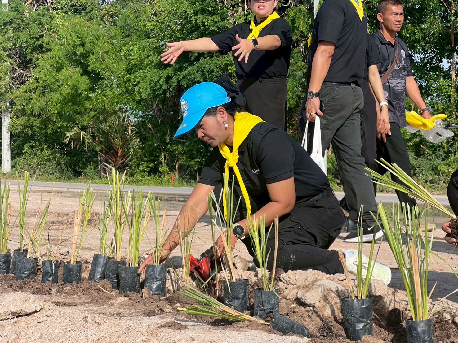 title - ปฏิรูปที่ดินจังหวัดเพชรบุรี พร้อมด้วยเจ้าหน้าที่ ส.ป.ก.เพชรบุรี ร่วมกิจกรรมจิตอาสาปลูกหญ้าแฝกรอบพื้นที่โครงการแก้มลิงลำห้วยใหญ่ อำเภอชะอำ จังหวัดเพชรบุรี